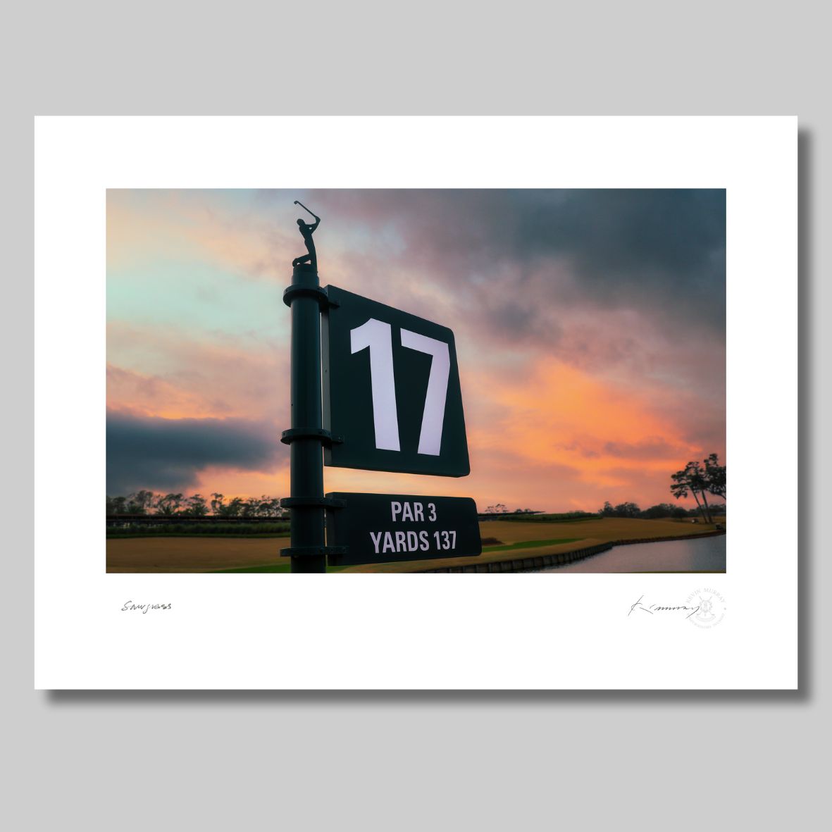 sawgrass hole 17 fine art print by kevin murray