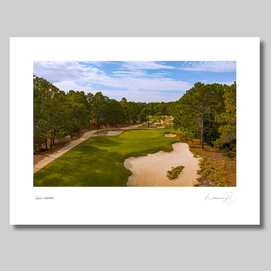 Pine Needles 16th by Kevin Murray