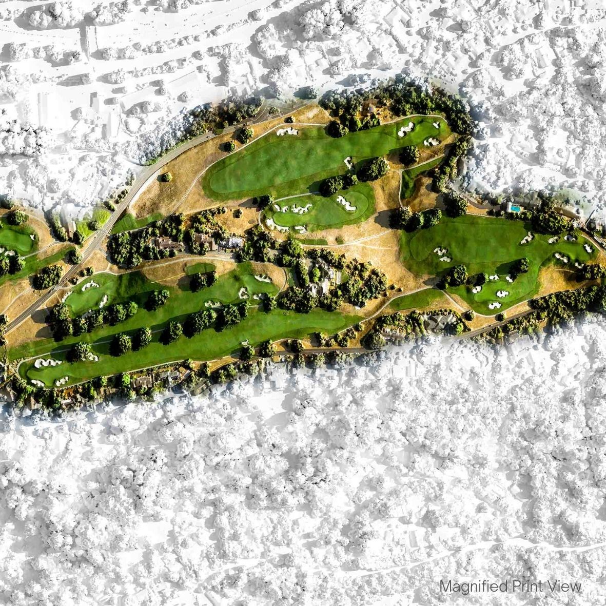Pasatiempo Golf Course Print Close Up 1