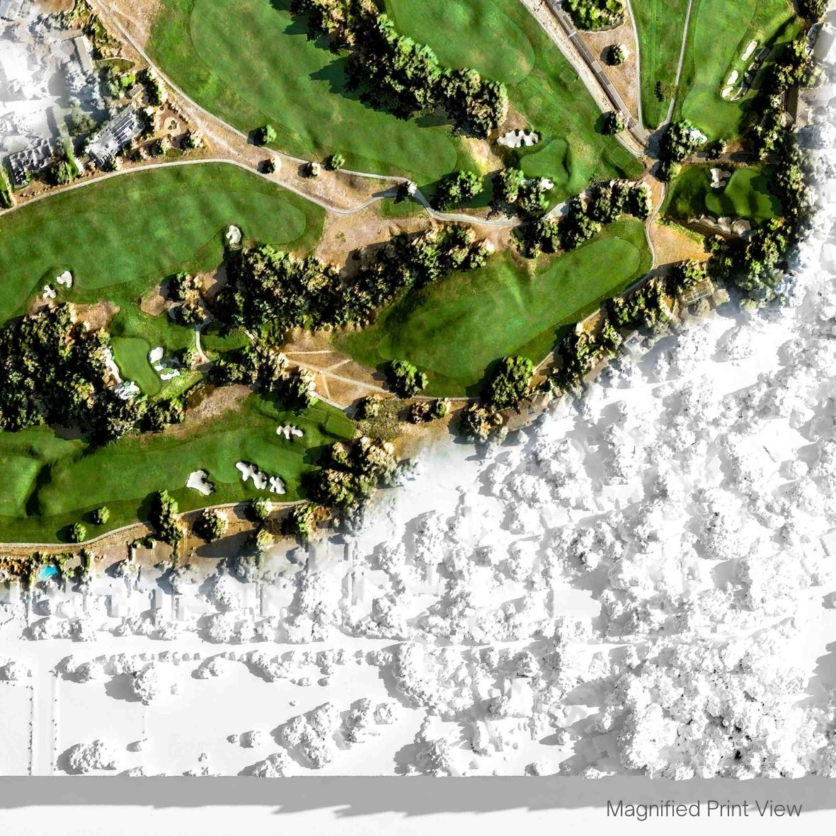 Pasatiempo Golf Course Print Close Up 2