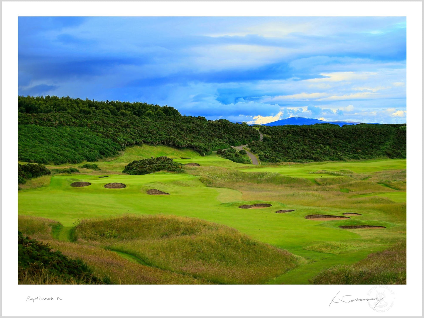 Royal Dornoch Golf Club 5th by Kevin Murray