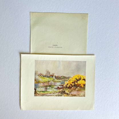 Harry Rountree Original First Edition Book Plates - Only One Of Each Available!